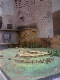 IMG_1694.jpg