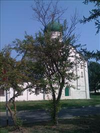 IMG_0572.jpg