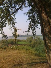 IMG_0540.jpg